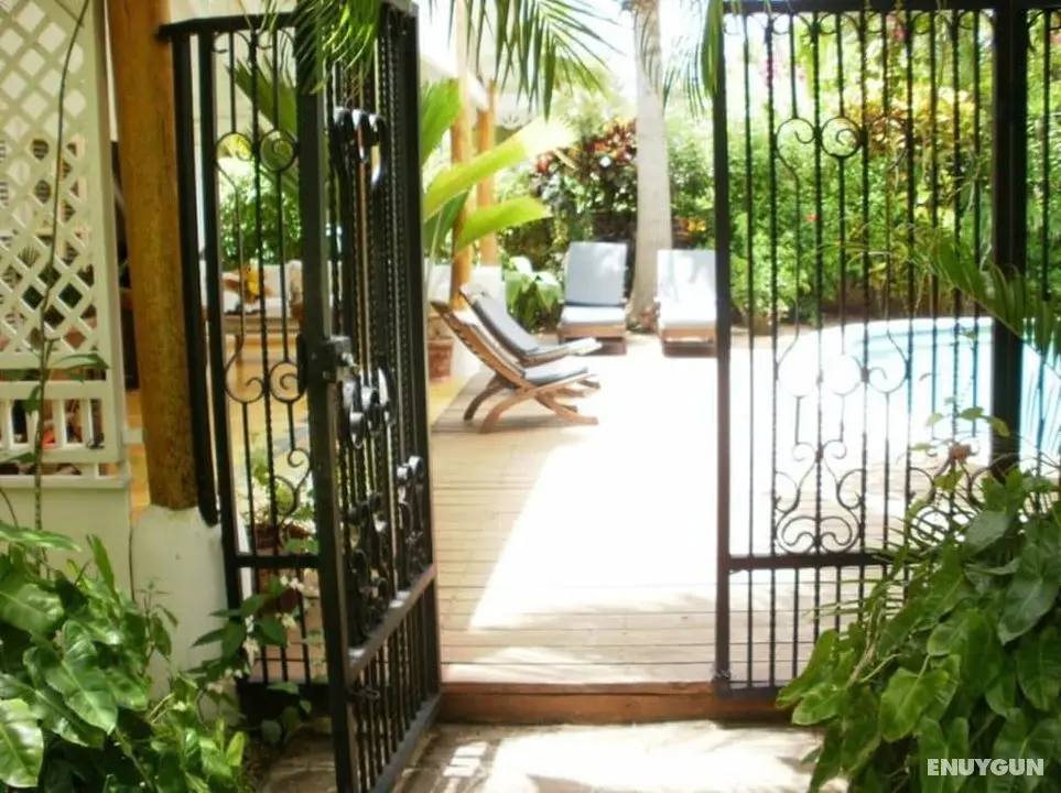 Charming Caribbean Style Villa Near Superb Beach - Dış Mekan