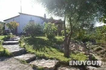 Charming Holiday Home in Kritinia With Garden - Öne Çıkan Resim