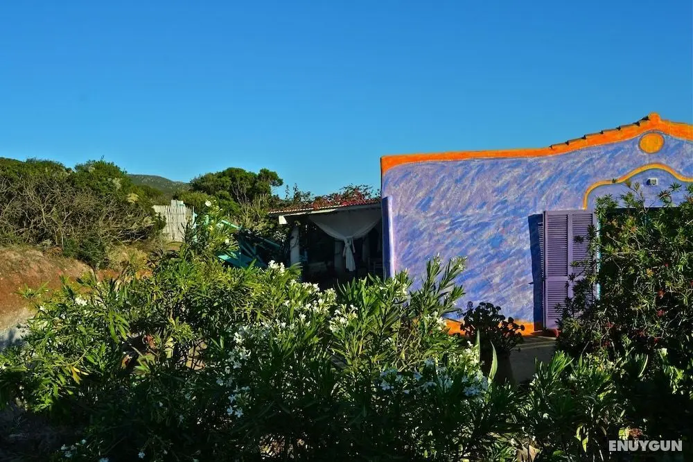 Charming Mediterranean House Surrounded by a Natural Oasis - Öne Çıkan Resim