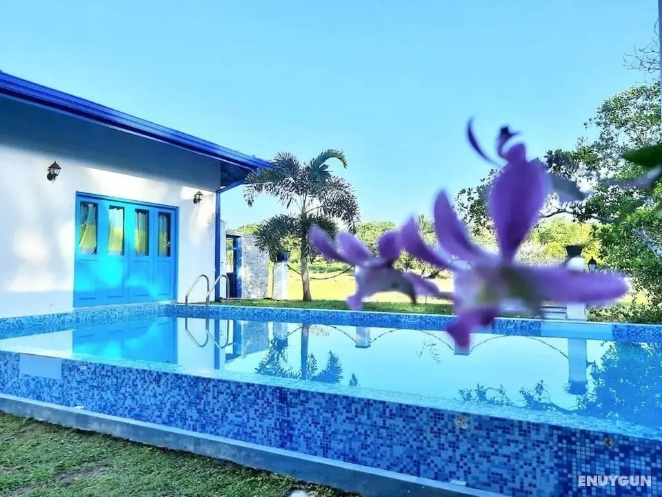 Charming Villa With Pool, Near Beach, Sri Lanka - Öne Çıkan Resim
