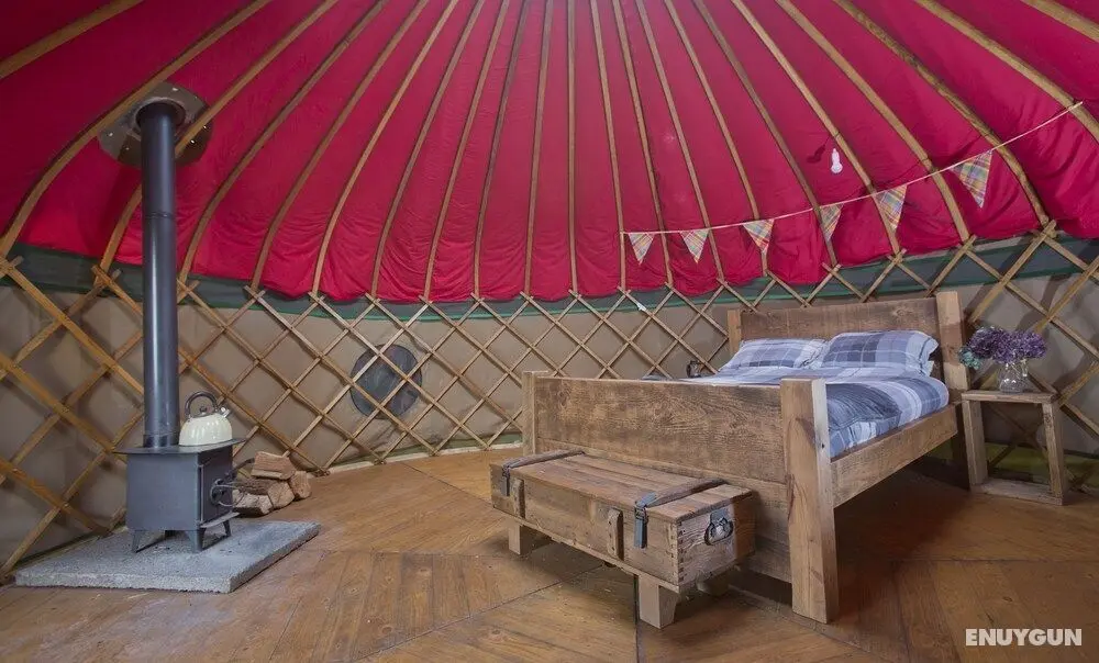 Charming Yurt in Ayrshire With Sea Views - Öne Çıkan Resim