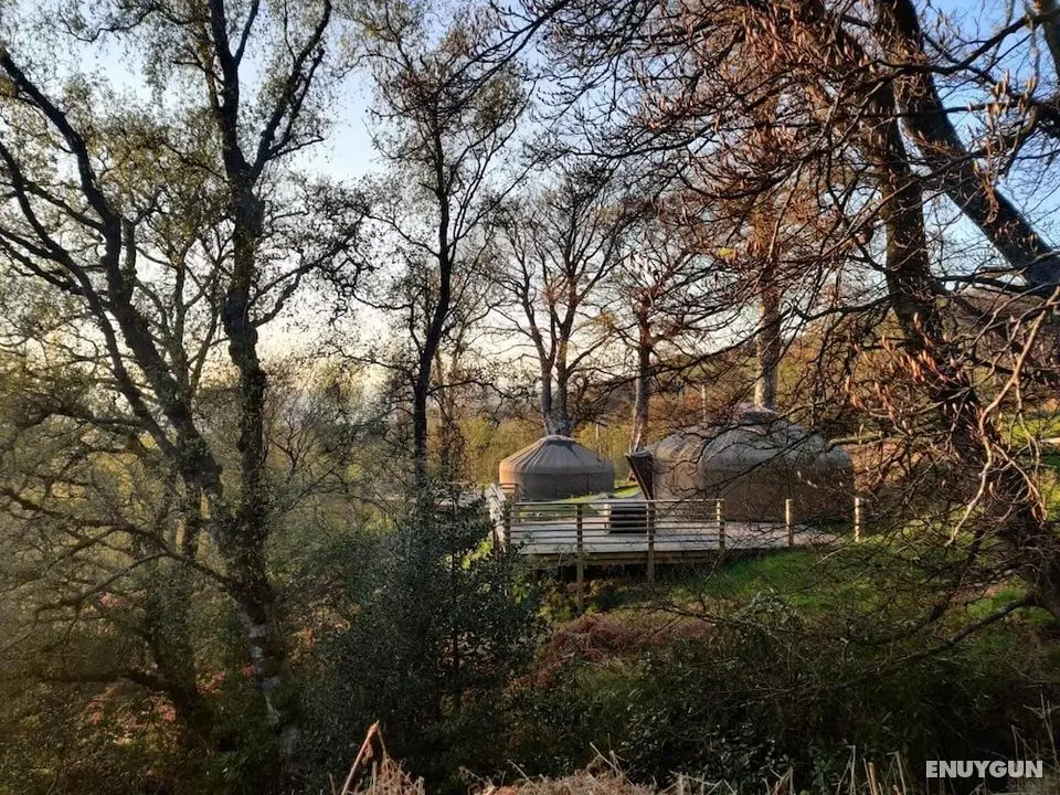 Charming Yurt in Ayrshire With Sea Views - Öne Çıkan Resim
