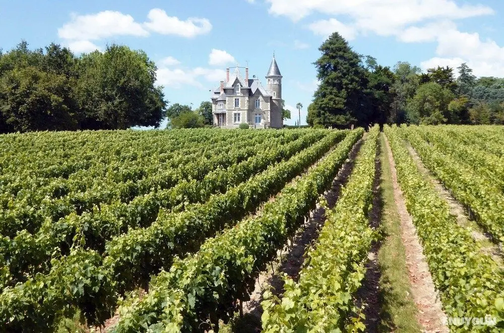 Château Bredurière - Öne Çıkan Resim