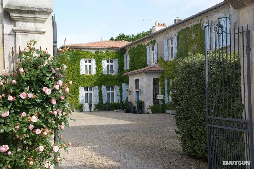 Château de Didonne - Öne Çıkan Resim