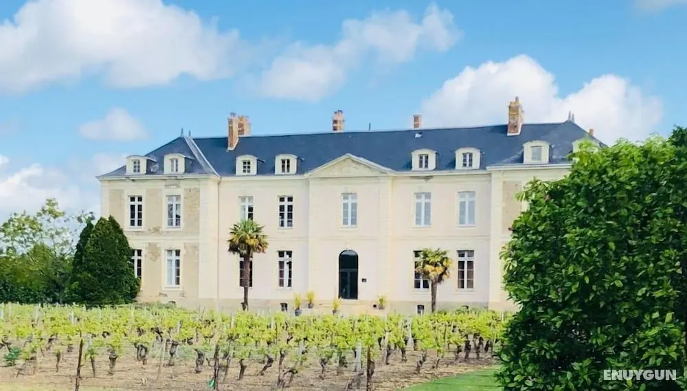 Château des Marais - Öne Çıkan Resim