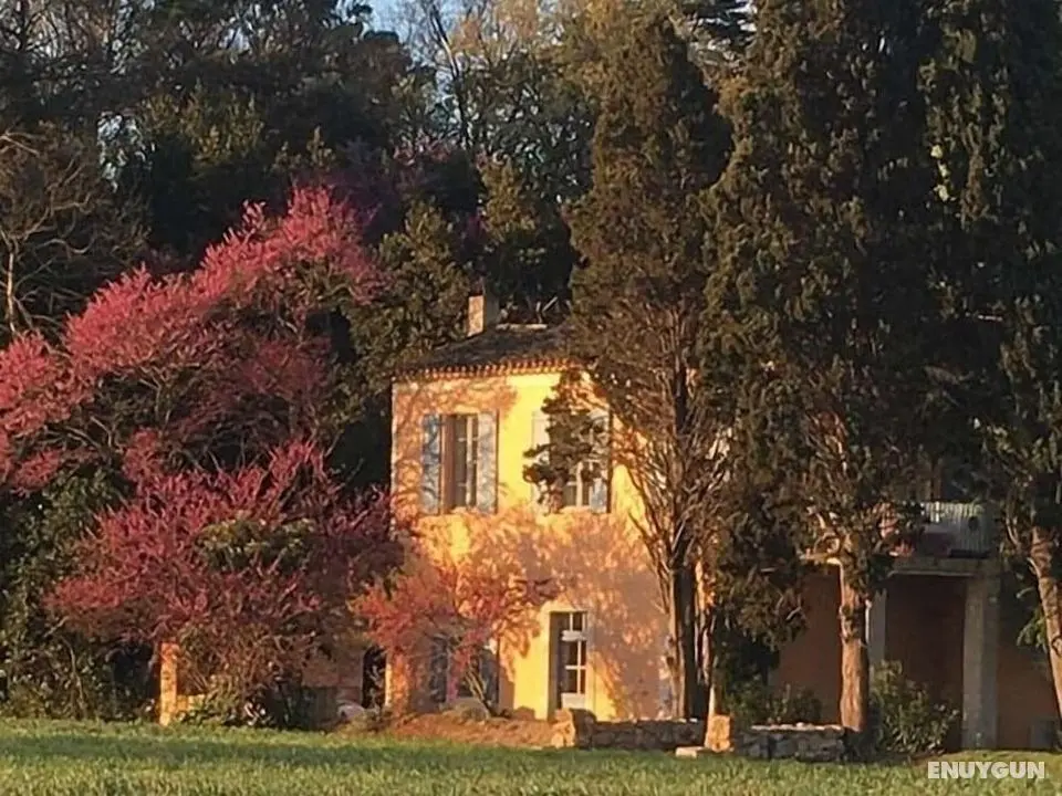 Château Pech-Céleyran - Öne Çıkan Resim
