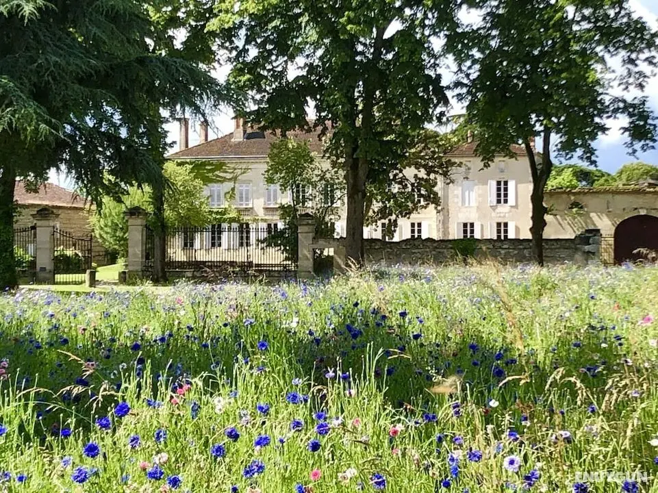 Château Rouge 47 - Öne Çıkan Resim