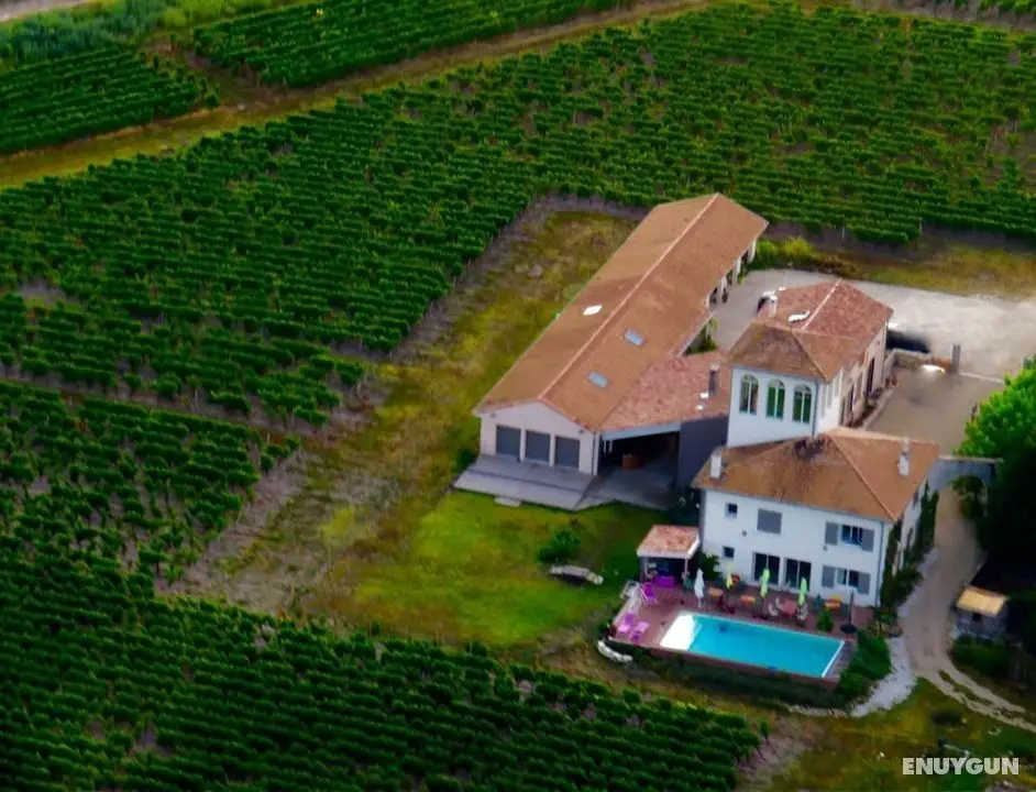 Chateau Trillon - Öne Çıkan Resim