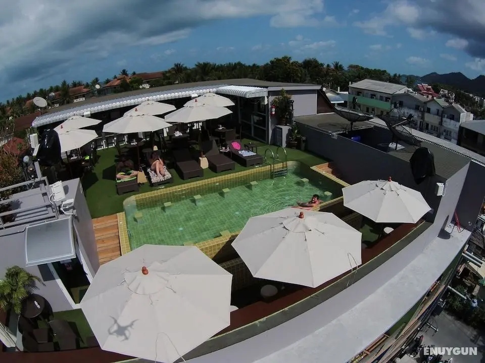 Cheeky Monkey's Samui - Öne Çıkan Resim