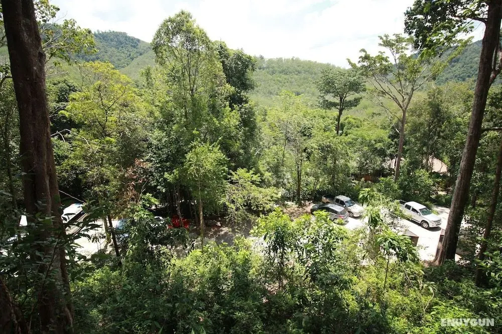 Chestnut Hill Eco Resort - Fitness