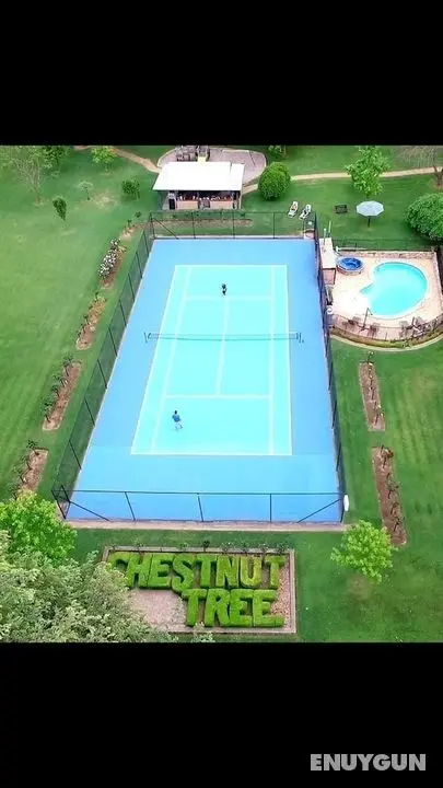 Chestnut Tree Holiday Apartments - Öne Çıkan Resim