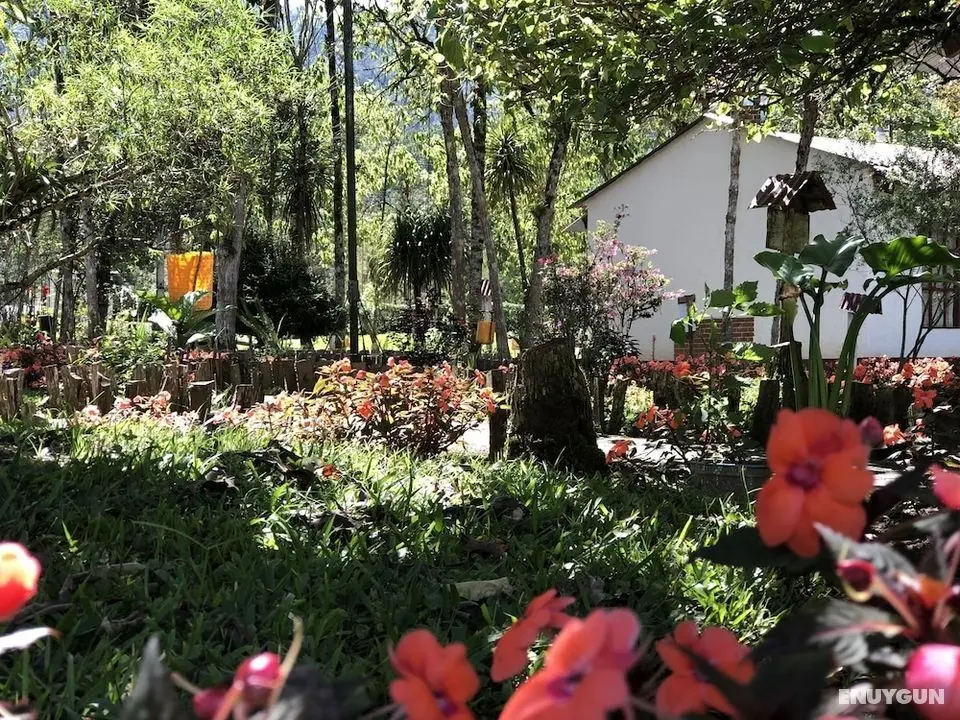 Chi-Ixim Eco Hotel - Öne Çıkan Resim
