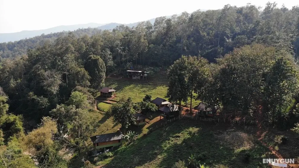 Chiang Mai Elephant Friends - Öne Çıkan Resim