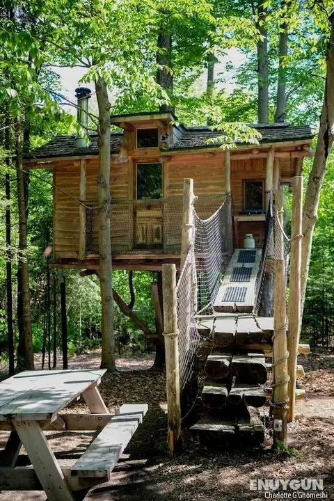 Chimo Refuges Treehouse Resort - Öne Çıkan Resim