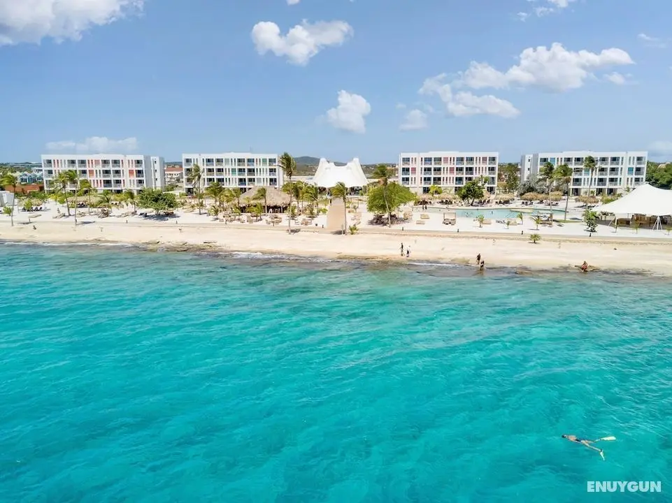 Chogogo Dive & Beach Resort Bonaire - Öne Çıkan Resim