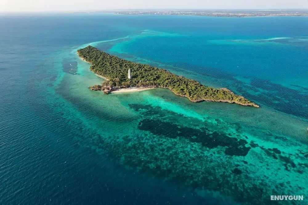 Chumbe Island Coral Park - Öne Çıkan Resim