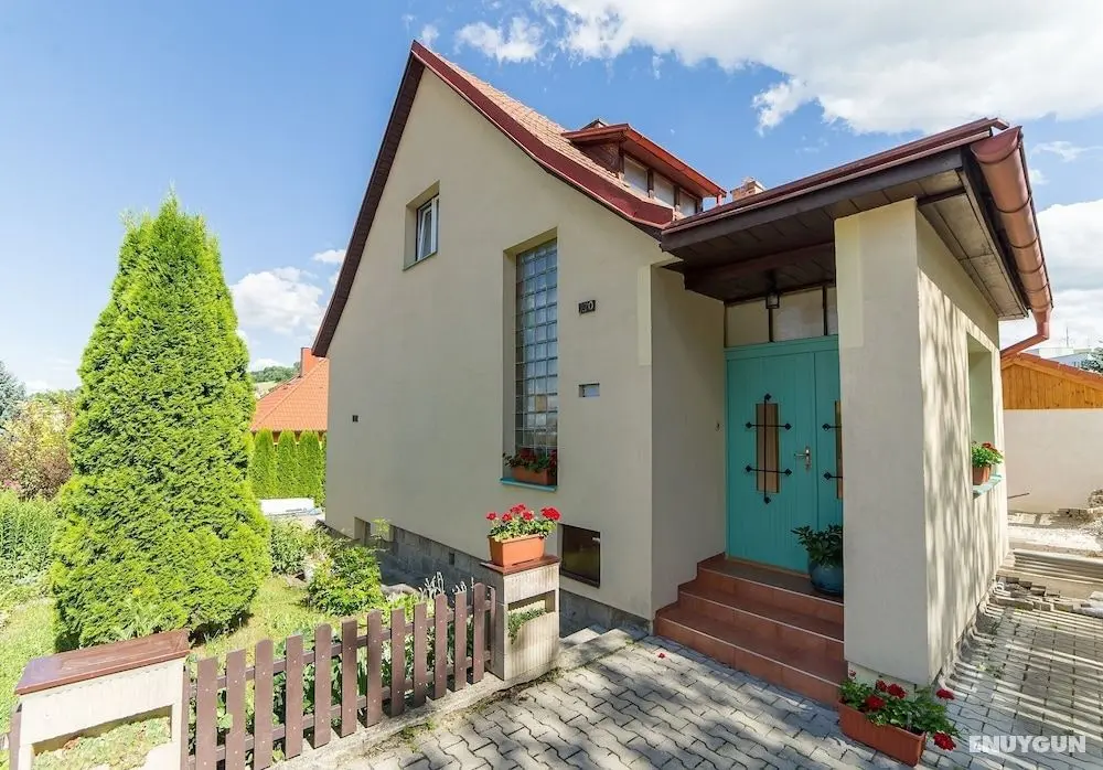 Villa Cihelna - Öne Çıkan Resim