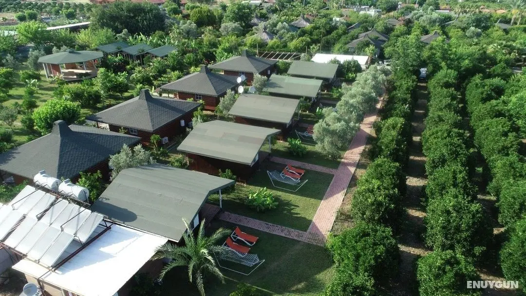 Çıralı Zakkum Bungalow - Manzara / Peyzaj