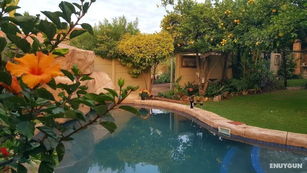Citrus Lane Guesthouse - Öne Çıkan Resim
