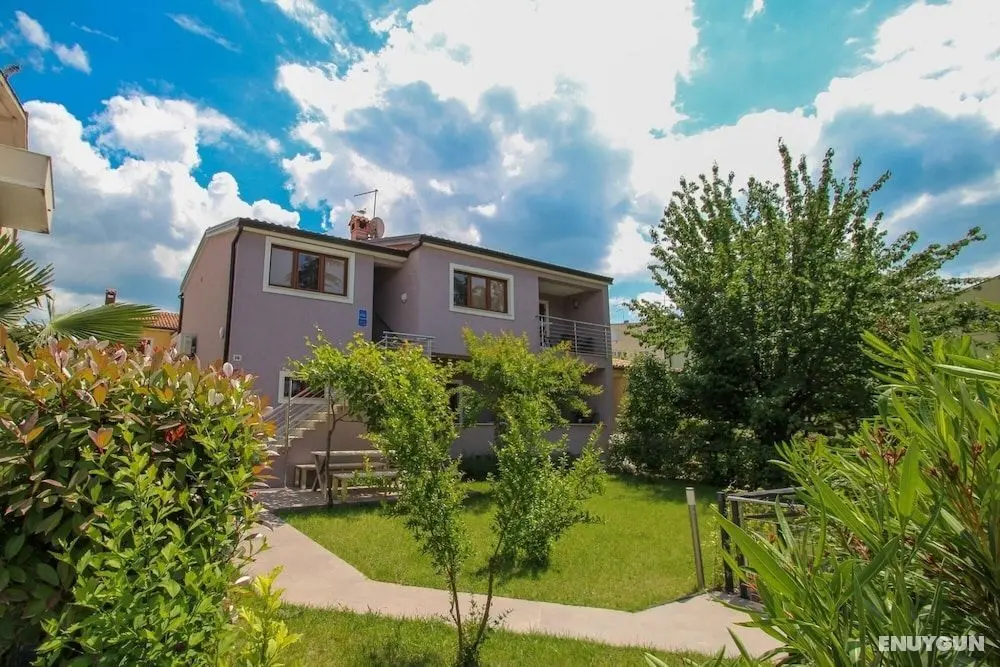 Clai A4 2 in Novigrad - Öne Çıkan Resim