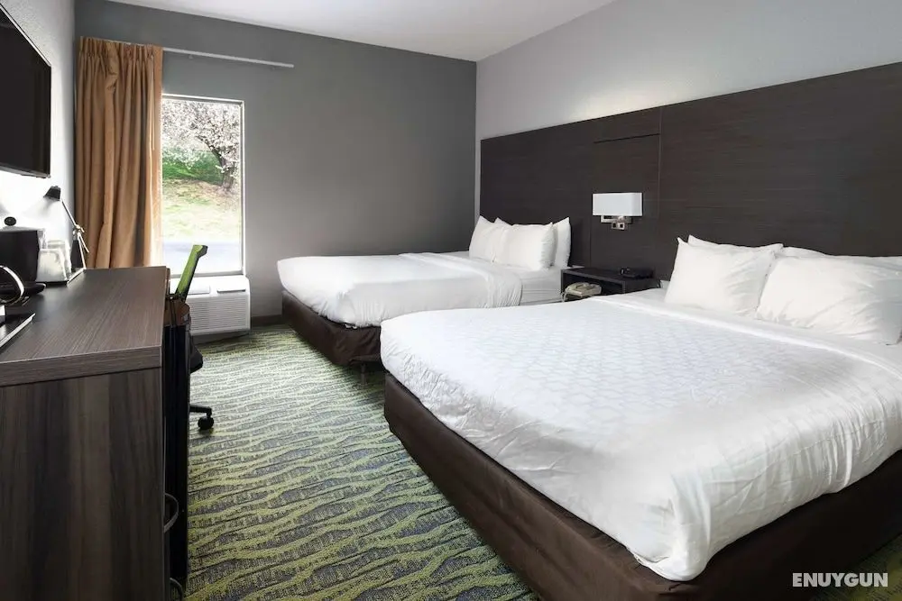 Clarion Inn near Lookout Mountain - Öne Çıkan Resim