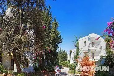 Club La Luna Hotel - Genel