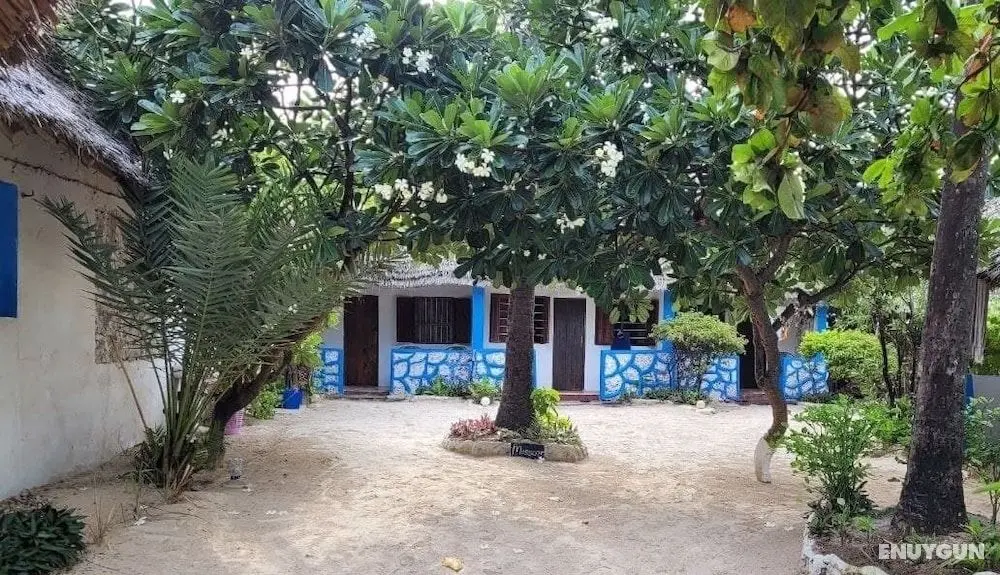 Coco Beach Hotel - Öne Çıkan Resim