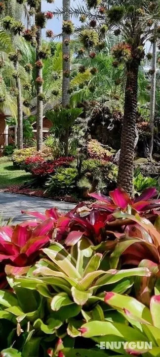 Coco Palm Beach Resort & Spa - Öne Çıkan Resim