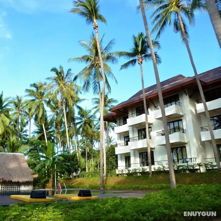 Coconut Beach Resort - Öne Çıkan Resim