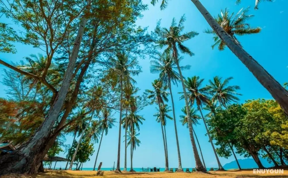 Coconut Beach Villa Langkawi - Öne Çıkan Resim
