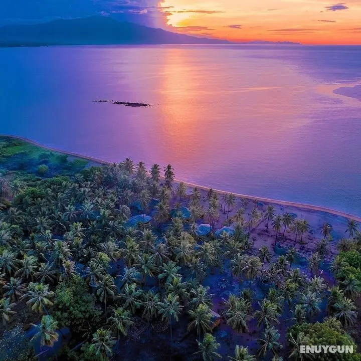 Coconut Garden Beach Resort - Plaj
