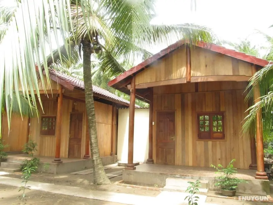 Coconut Homestay - Öne Çıkan Resim