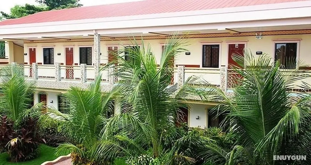 Coconut Pension House - Dış Mekan