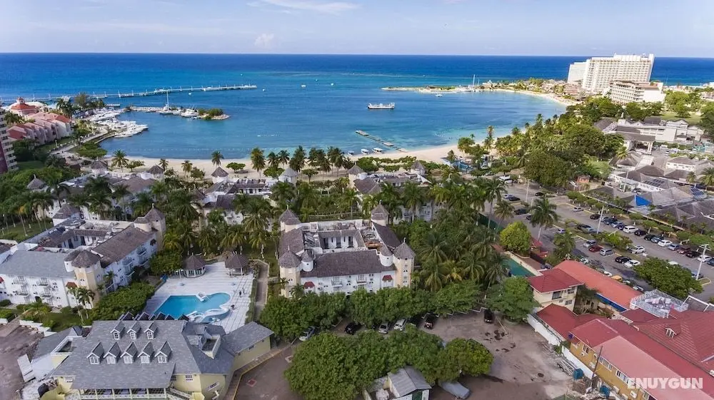 Coconut Suite at Turtle Towers - Oda Manzaraları