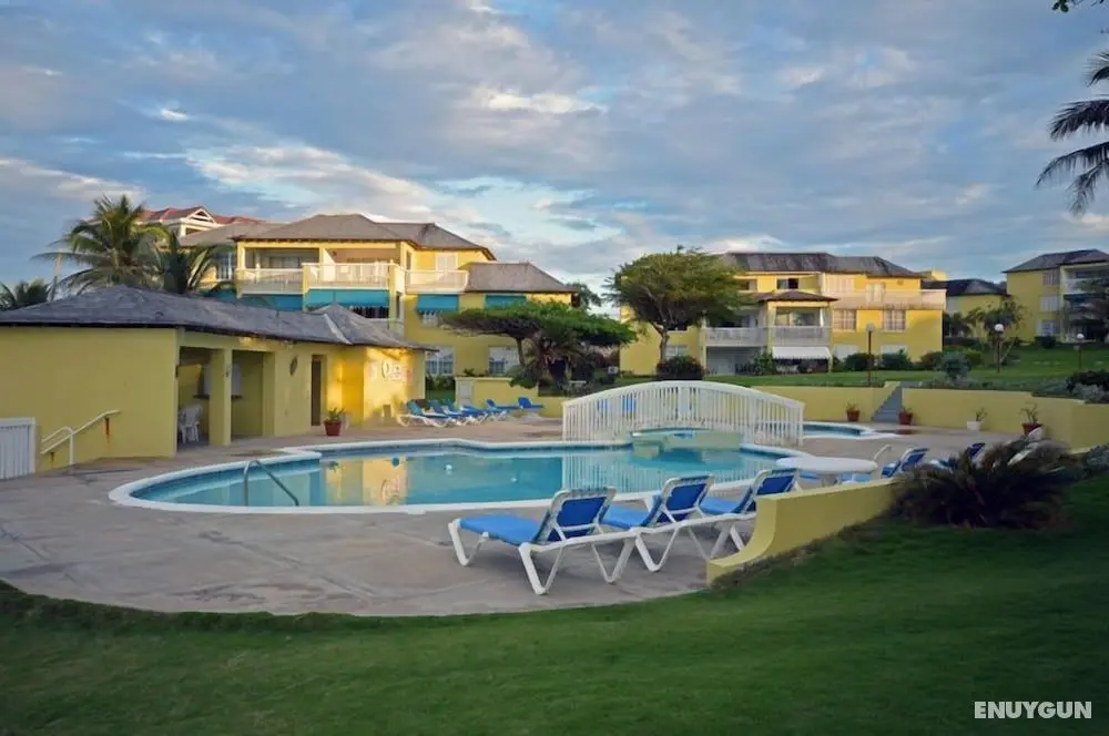 Coconuts Seafront 2BR, Ocho Rios - Öne Çıkan Resim