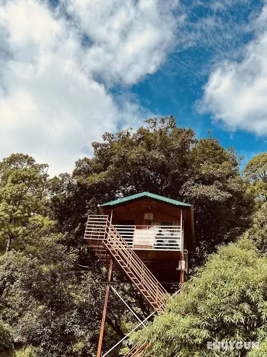 The Cocoon Camps & Nature Resorts - Öne Çıkan Resim