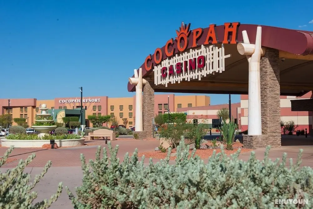 Cocopah Resort And Conference Center - Öne Çıkan Resim
