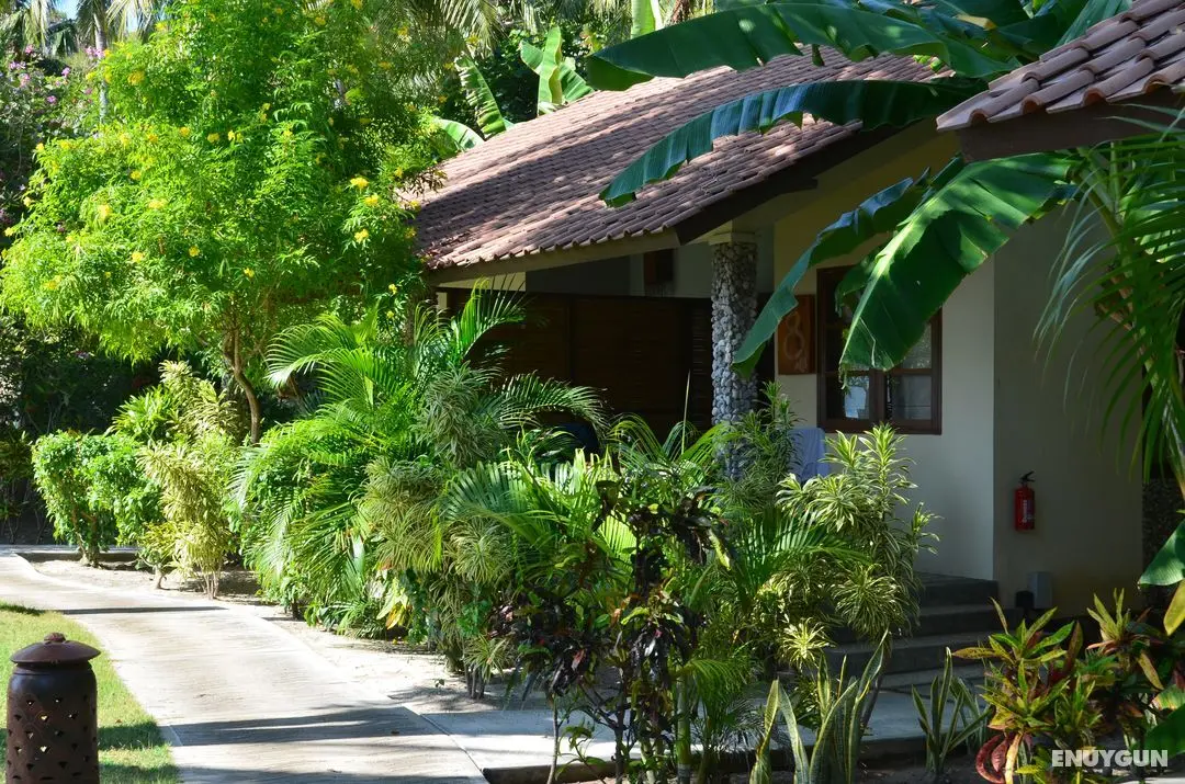 Cocotinos Sekotong Lombok - Genel