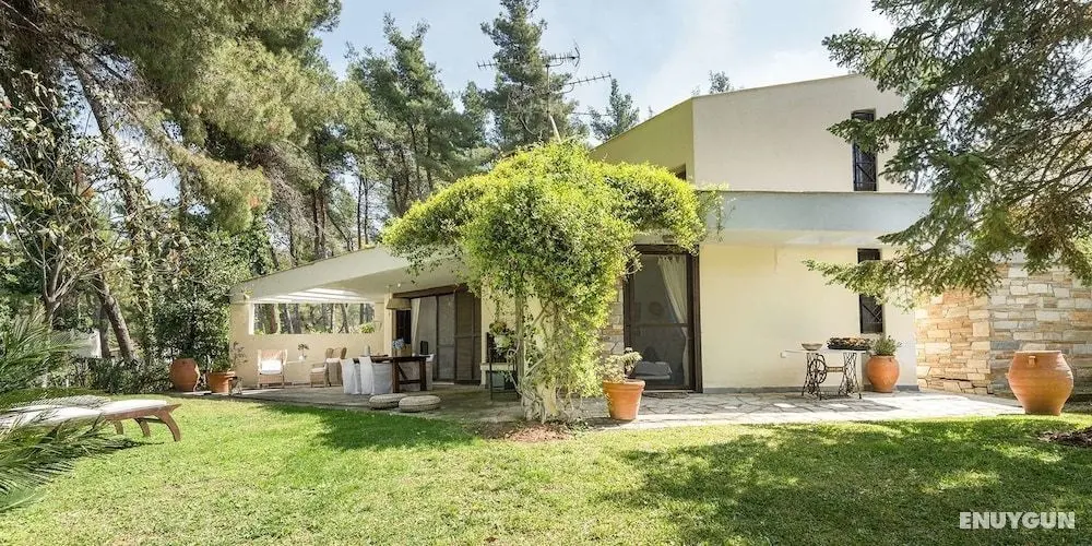 Coelo Shared Pool Villa, Sani - Öne Çıkan Resim