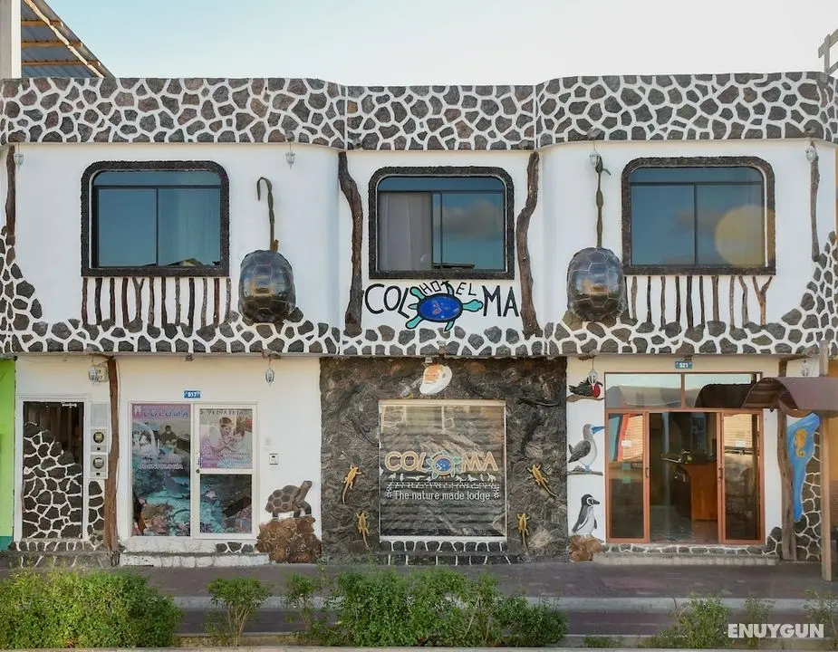 Hotel Coloma Galapagos - Öne Çıkan Resim