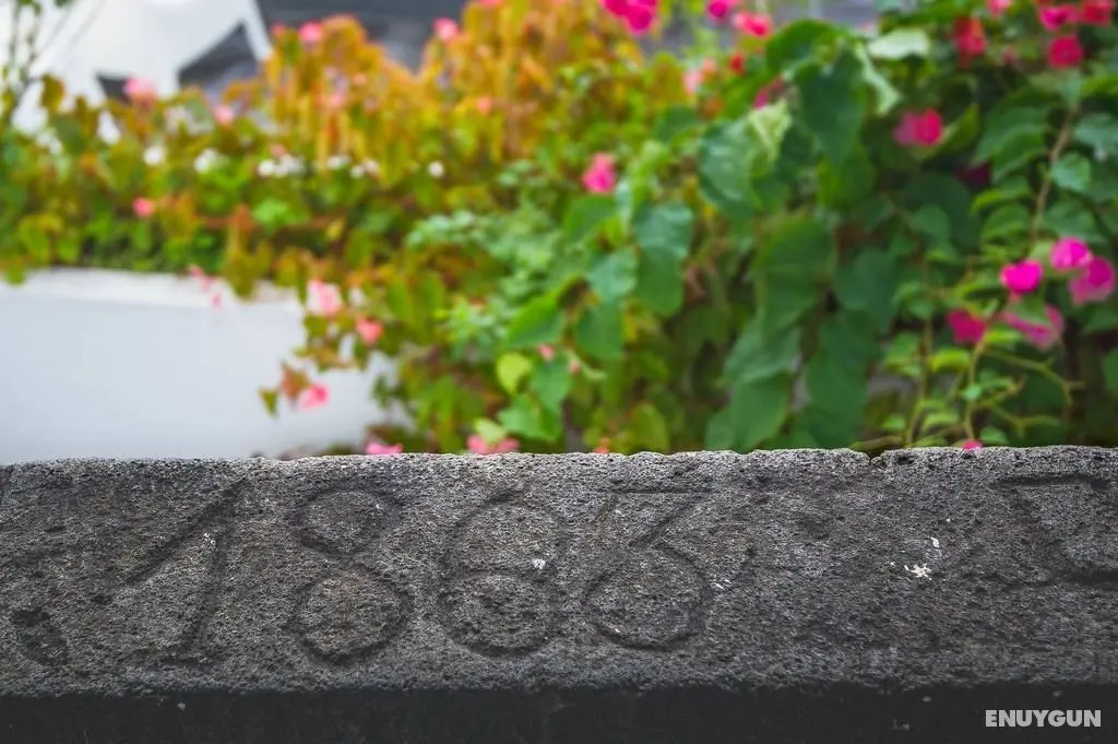 Comercial Azores Guest House - Genel
