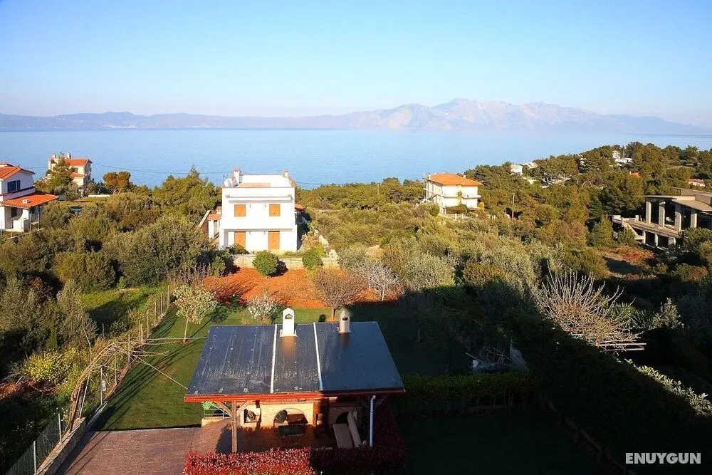 Comfartable 1 Bedroom Flat with Garden near Beach - Dış Mekan