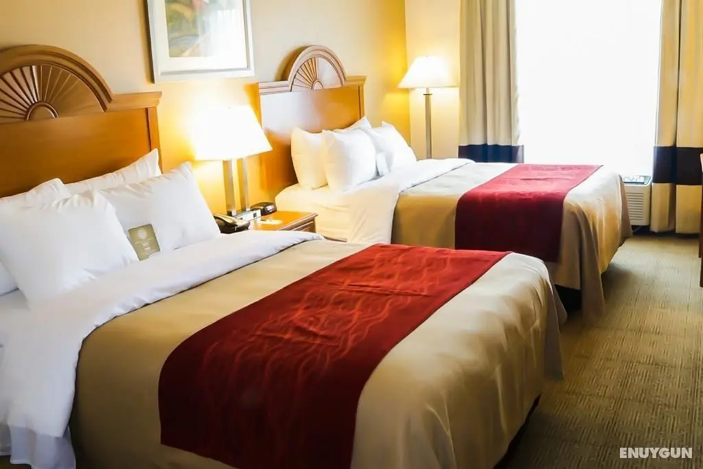 Comfort Inn Beckley Area - Genel