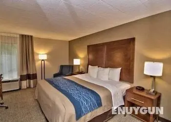 Comfort Inn - Öne Çıkan Resim
