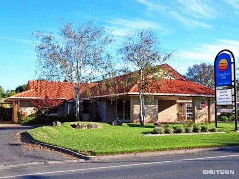 Comfort Inn Silver Birch - Genel
