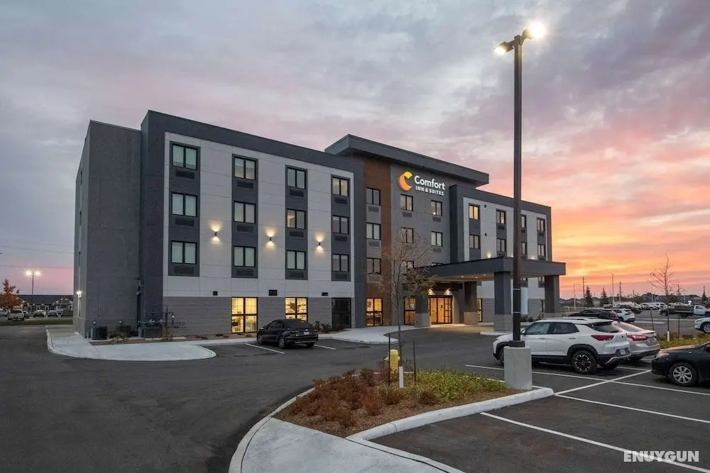Comfort Inn & Suites - Öne Çıkan Resim