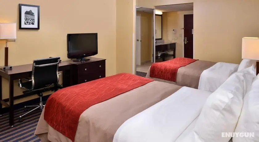 Comfort Inn and Suites East Hartford - Oda
