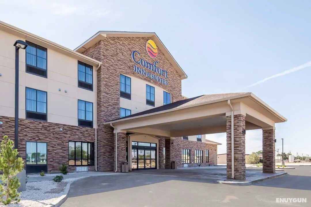 Comfort Inn & Suites Lovington downtown - Genel