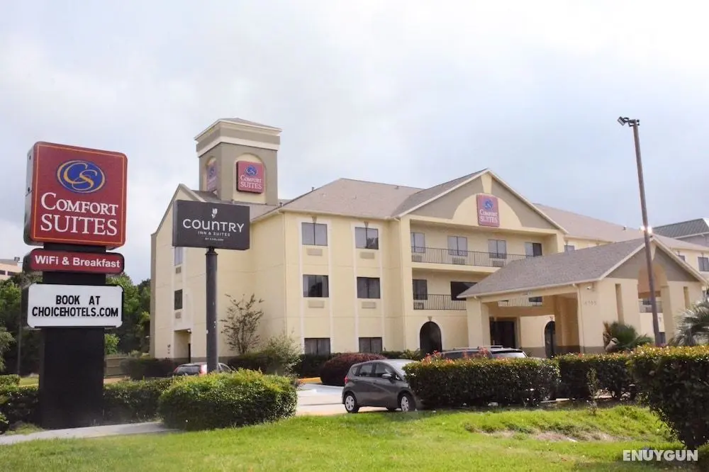 Comfort Suites Bush Intercontinental Airport - Öne Çıkan Resim