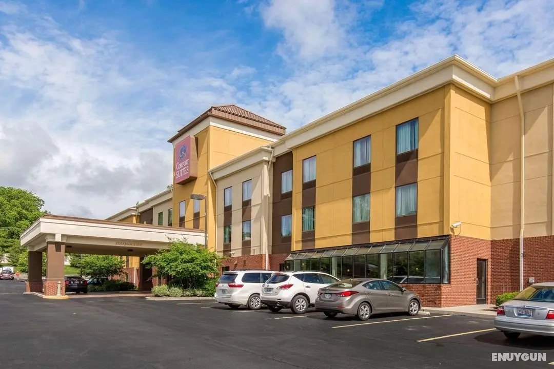 Comfort Suites East St. Louis - Genel